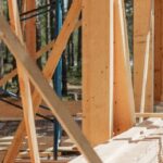 Crafted by Nature: The Modern Evolution of Wood in Design and Construction