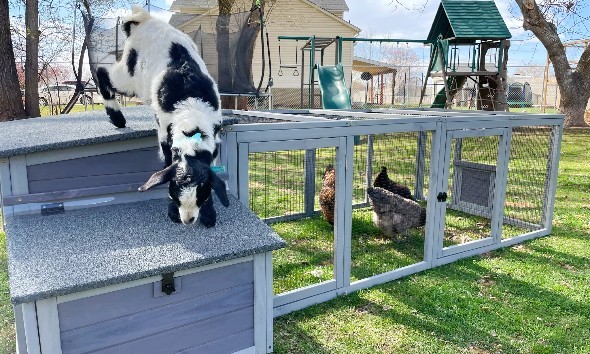 wood products manufacturers 